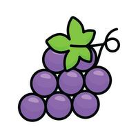 Bunch of sweet berries, icon of grapes, natural antioxidant fruit vector