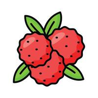 Bayberry vector design in modern design style, Myrica, yangmei, candleberry, sweet gale, or wax myrtle berry icon