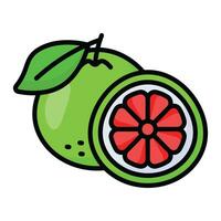 Well designed icon of grapefruit in modern style, healthiest citrus fruit vector