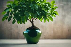 ai generado un en conserva planta en un blanco florero en un mesa foto