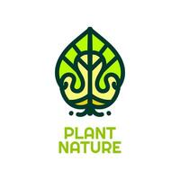 naturaleza planta naturaleza logo concepto diseño ilustración vector