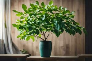 ai generado un en conserva planta en un mesa en frente de un pared foto