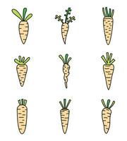 Food carrot icons set vector color