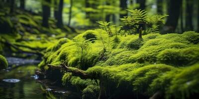 AI generated Green moss closeup, with a backdrop of woodland.  Forest in the national park. AI Generated photo