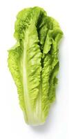 AI generated Lettuce isolated on white background. AI Generated photo