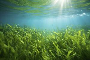 AI generated Underwater view of a group of seabed with green seagrass. AI Generated photo