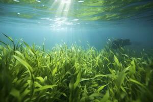 AI generated Underwater view of a group of seabed with green seagrass. AI Generated photo