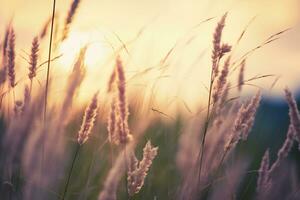 AI generated Wild grass in the forest at sunset. Abstract summer nature background. Generative AI photo