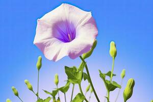 ai generado Mañana gloria flor con azul cielo. ai generado. foto