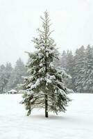 pino arboles o decorado Navidad árbol cubierto por nieve en hermosa invierno. Navidad tema al aire libre por ai generado foto