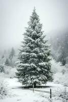 pino arboles o decorado Navidad árbol cubierto por nieve en hermosa invierno. Navidad tema al aire libre por ai generado foto