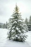 pino arboles o decorado Navidad árbol cubierto por nieve en hermosa invierno. Navidad tema al aire libre por ai generado foto