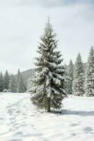 pino arboles o decorado Navidad árbol cubierto por nieve en hermosa invierno. Navidad tema al aire libre por ai generado foto