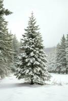 Pine trees or decorated christmas tree covered by snow on beautiful winter. Christmas theme outdoors by AI Generated photo