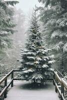 pino arboles o decorado Navidad árbol cubierto por nieve en hermosa invierno. Navidad tema al aire libre por ai generado foto