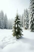 pino arboles o decorado Navidad árbol cubierto por nieve en hermosa invierno. Navidad tema al aire libre por ai generado foto