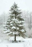 Pine trees or decorated christmas tree covered by snow on beautiful winter. Christmas theme outdoors by AI Generated photo