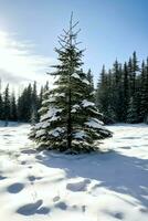 pino arboles o decorado Navidad árbol cubierto por nieve en hermosa invierno. Navidad tema al aire libre por ai generado foto