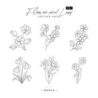 Collection forest fern eucalyptus art foliage natural leaves herbs in line style - Modern abstract elements set minimal design vector illustration