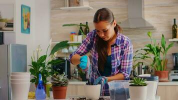 Cheerful woman caring for houseflowers sitting in the kitchen on table. Florist replanting flowers in white ceramic pot using shovel, gloves, fertil soil and flowers for house decoration. photo