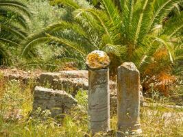 the city of Tunis photo