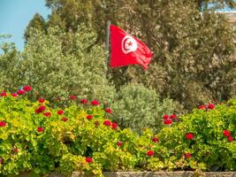 the city of Tunis photo