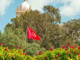 the city of Tunis photo