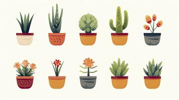 AI generated Minimalist UI illustration of a potted succulent collection in a flat illustration photo