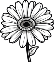 ai gerado uma branco margarida floral transparente fundo png