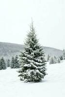 pino arboles o decorado Navidad árbol cubierto por nieve en hermosa invierno. Navidad tema al aire libre por ai generado foto