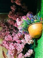 a flower pot with plants in it photo