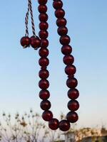 a necklace with red beads hanging from a string photo