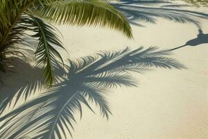 AI generated Palm fronds on sandy beach. Pro Photo