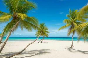 AI generated Palm fronds on sandy beach. Pro Photo