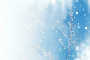 Blurred frozen grass. Winter abstract background. Landscape. photo