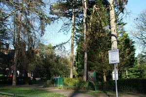 Local Public Park at Luton City photo