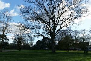 Local Public Park at Luton City photo