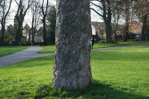 Local Public Park at Luton City photo