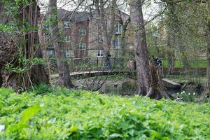 Wardown Public Park of Luton Town of England During Cold and sunny day of April 7th, 2023 photo