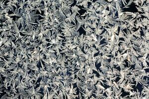 frosty patterns on the window frosty background Ice on a window black white photo