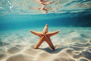 ai generado estrella de mar en el Oceano superficie con agua corriendo terminado arena foto