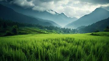 ai generado verde arroz campos en el lluvioso temporada hermosa natural paisaje foto