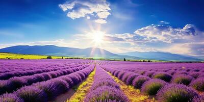 ai generado maravilloso paisaje increíble verano paisaje de floreciente lavanda flores foto