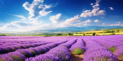 ai generado maravilloso paisaje increíble verano paisaje de floreciente lavanda flores foto