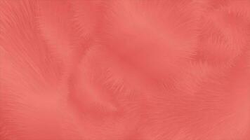 Living coral abstract fluffy fur effect video animation