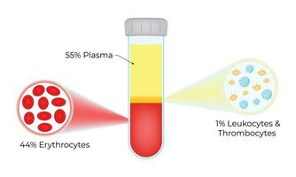 Blood Composition Science Design Vector Illustration
