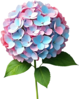 ai gegenereerd blauw hortensia bloem PNG downloaden