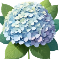 AI generated blue hydrangea flower png download