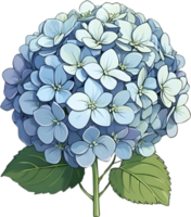 ai genererad blå hortensia blomma png ladda ner