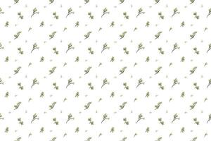 Olive bouquet with green leaf as seamless pattern background vector